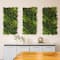 20" x 40" Hawaiian Islands Artificial Living Wall Panel